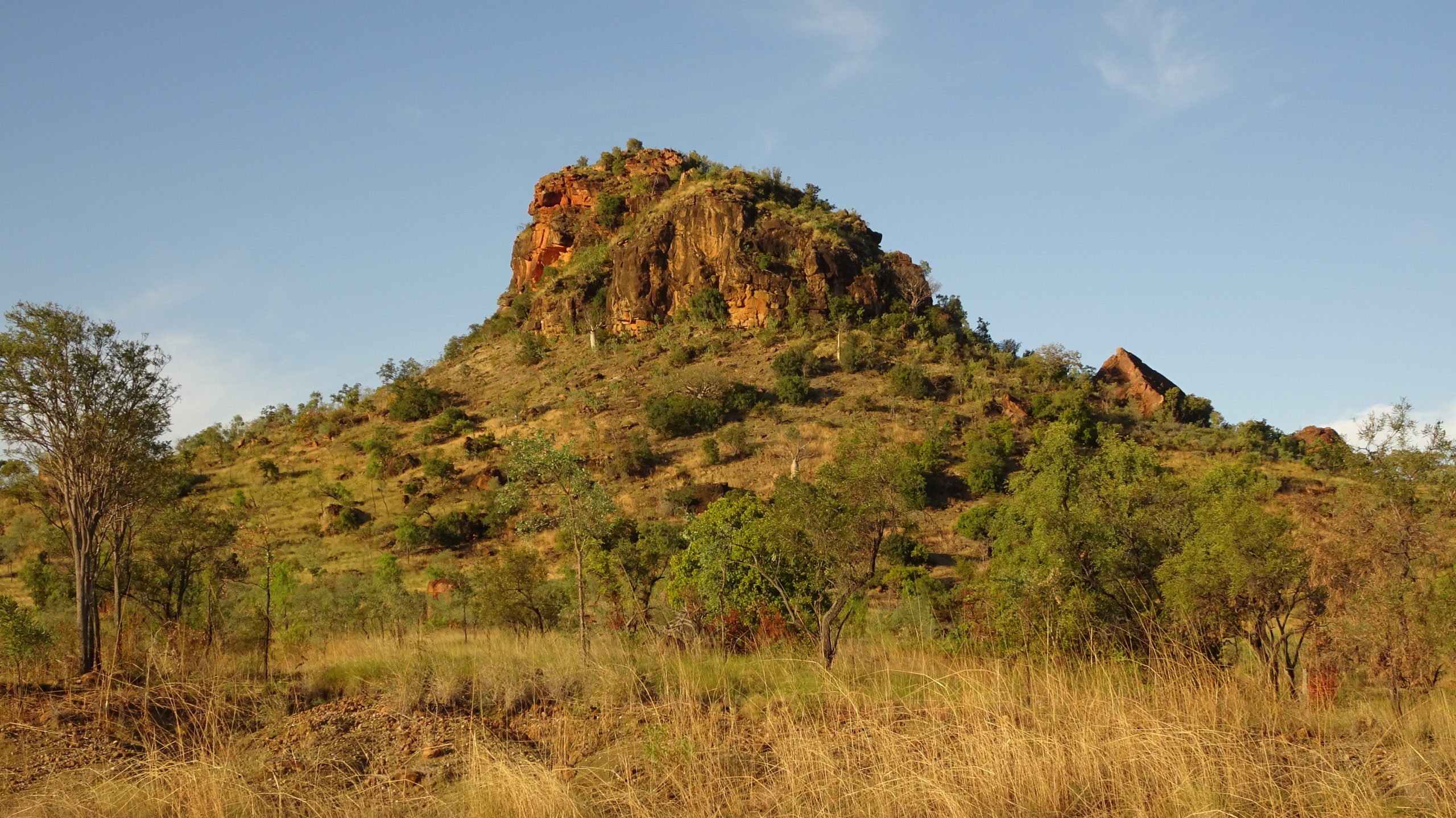 The Timber Creek Decision — ANTAR