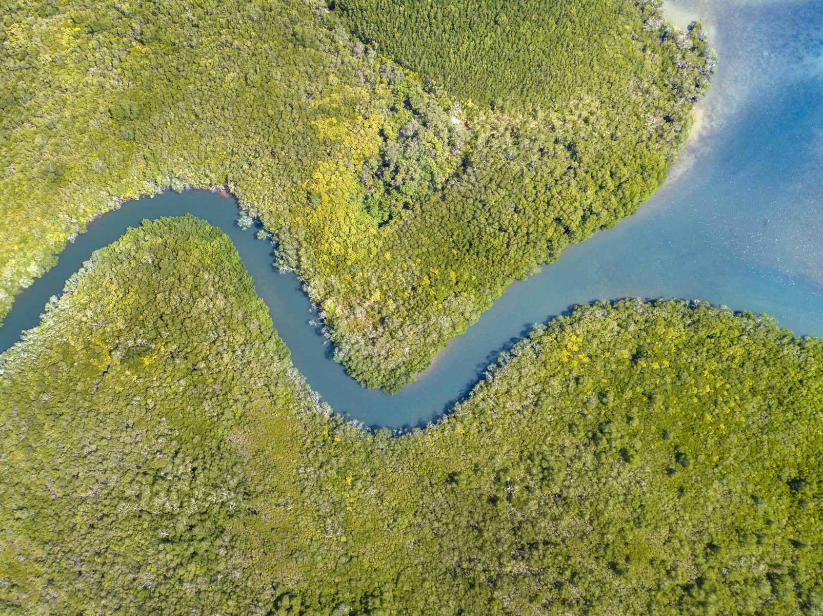 Treaty in Queensland — ANTAR