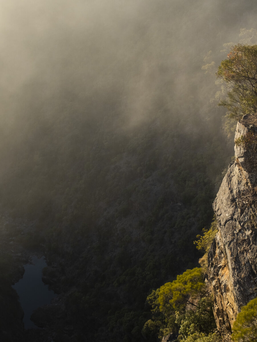 Ending Australia’s Indigenous mass-incarceration crisis — ANTAR